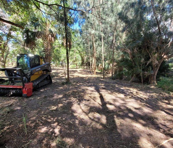 forestry mulching wimauma fl with jsp land management